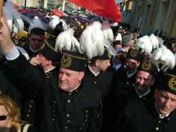 [Rozmiar: 171845 bajtw]