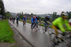 [Rozmiar: 11348 bajt�w]