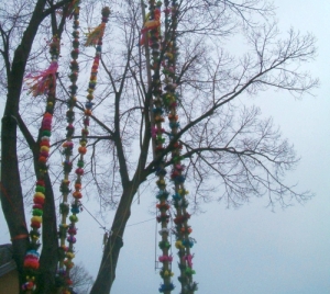 [Rozmiar: 79101 bajtw]