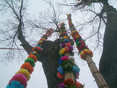 [Rozmiar: 180285 bajtw]