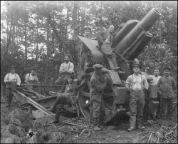 [Rozmiar: 8547 bajt�w]