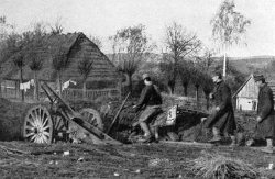 [Rozmiar: 8547 bajt�w]