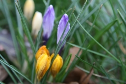 [Rozmiar: 35077 bajtw]