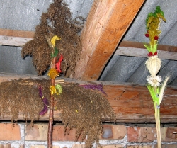 [Rozmiar: 55876 bajtw]