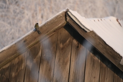 [Rozmiar: 34204 bajt�w]