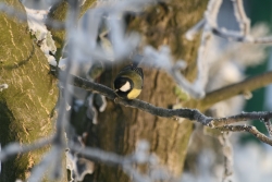 [Rozmiar: 37602 bajt�w]