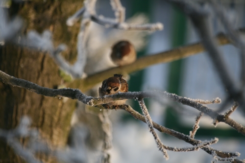 [Rozmiar: 106874 bajt�w]