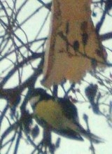 [Rozmiar: 24814 bajt�w]