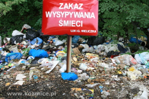 [Rozmiar: 71728 bajtw]