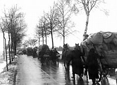 [Rozmiar: 8547 bajtw]