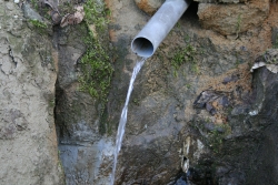 [Rozmiar: 42804 bajtw]