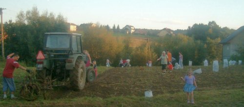 [Rozmiar: 22254 bajt�w]