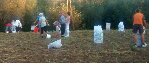 [Rozmiar: 29818 bajt�w]