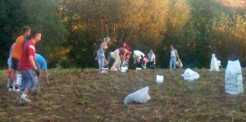 [Rozmiar: 34581 bajt�w]