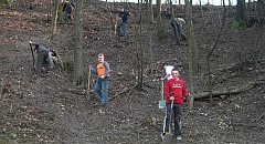 [Rozmiar: 13613 bajtw]