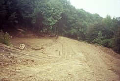 [Rozmiar: 13613 bajtw]